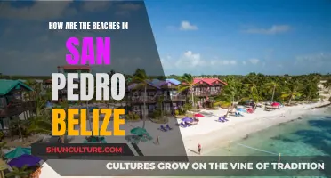 San Pedro, Belize: Beach Paradise Explored