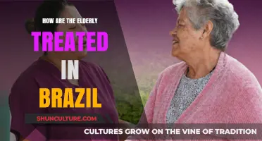 Elderly Care in Brazil: Challenges, Traditions, and Societal Responsibilities