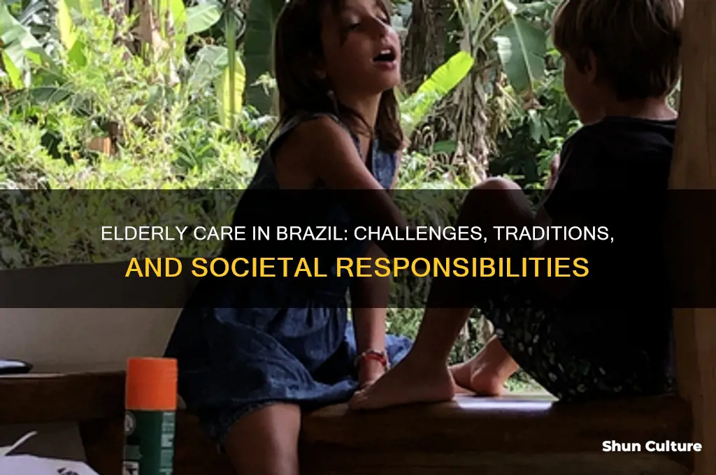 how are the elderly treated in brazil