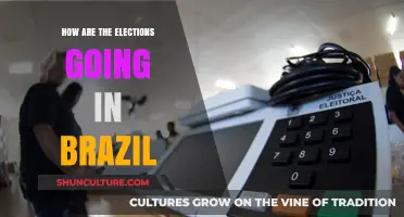 Brazil's 2022 Elections: Key Updates, Candidates, and Voter Trends