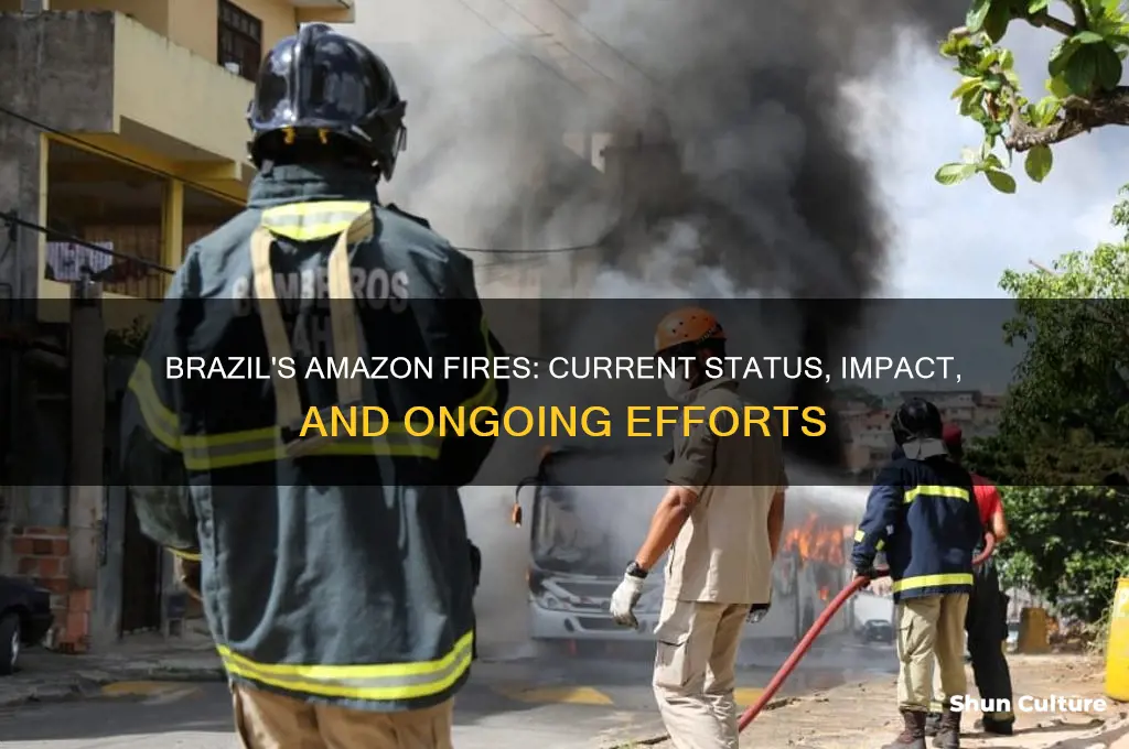 how are the fires in brazil doing
