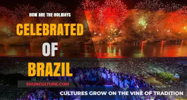 Exploring Brazil's Vibrant Holiday Traditions and Festive Celebrations