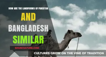 Shared Landscapes: Exploring Pakistan and Bangladesh's Similar Landform Features