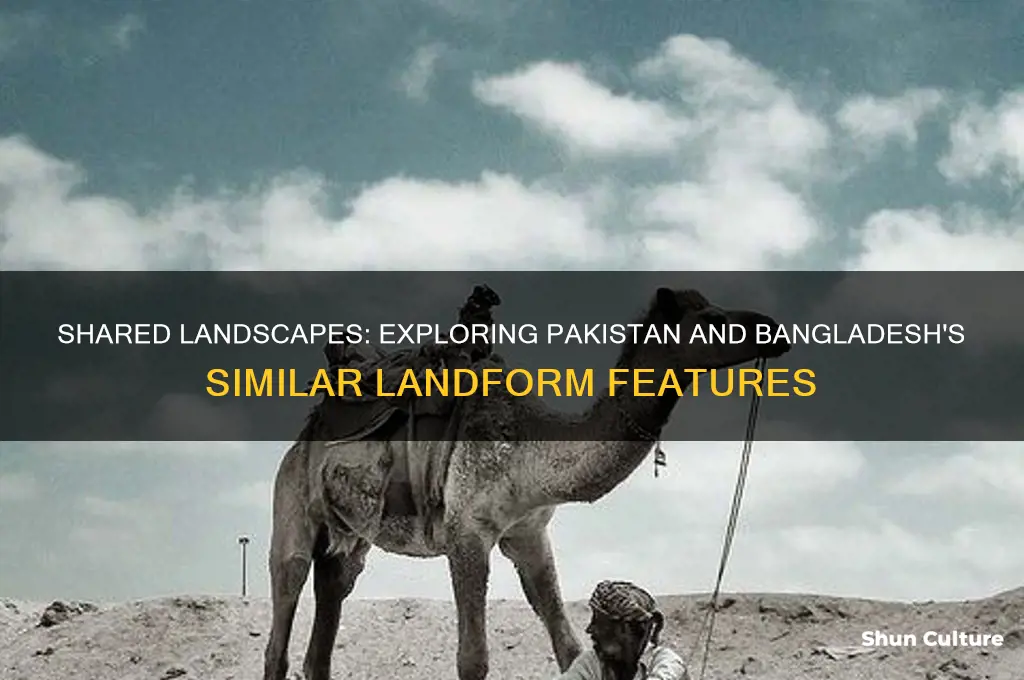 how are the landforms of pakistan and bangladesh similar