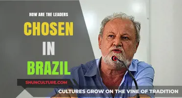 Brazil's Leadership Selection: Understanding the Electoral Process and Criteria
