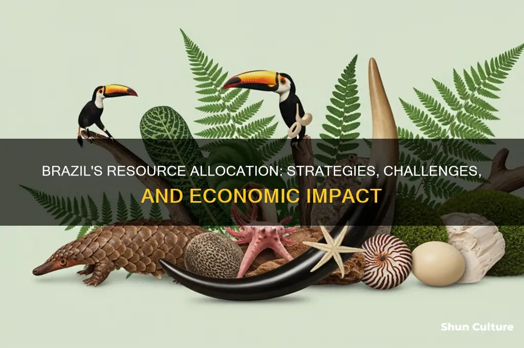 how are the resources allocated in brazil