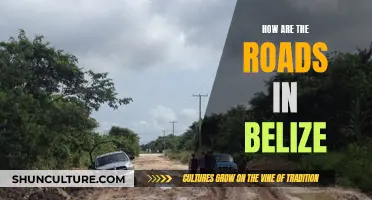 Exploring Belize: Roads and Beyond