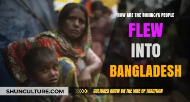 Rohingya Exodus: How Persecution Drove Them to Bangladesh