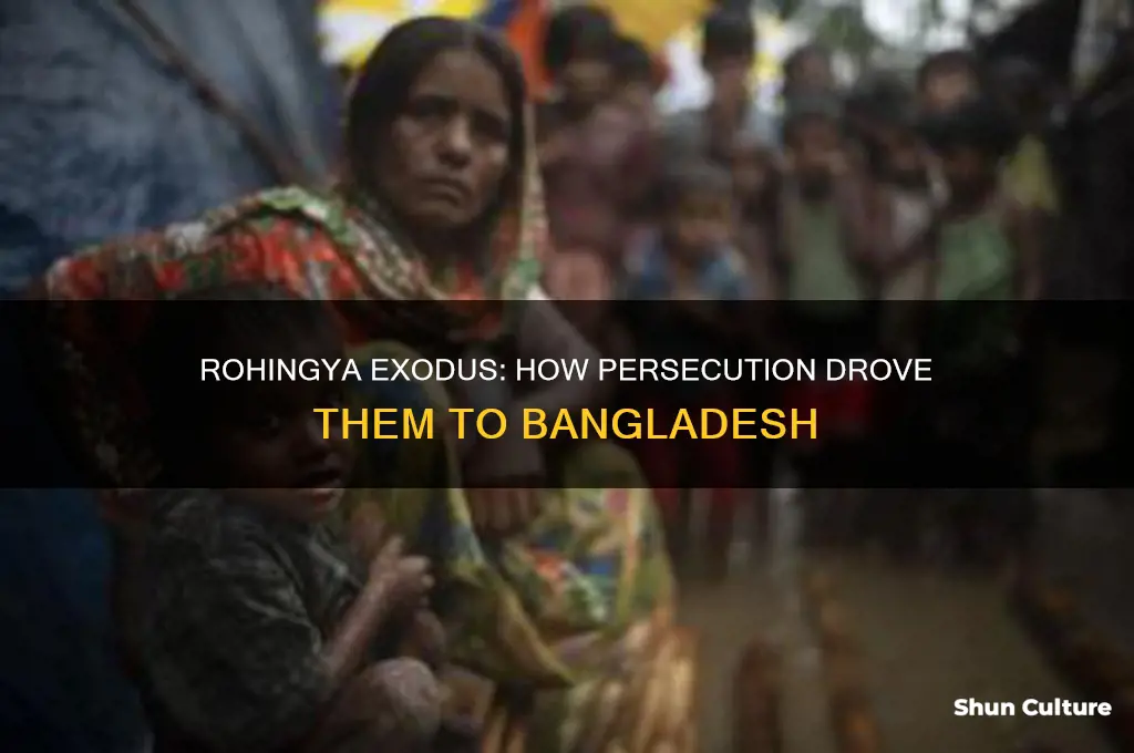 how are the rohingya people flew into bangladesh