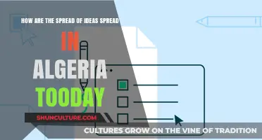 Modern Algeria: How Ideas Spread in Today's Digital and Social Landscape