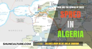The Diffusion of Ideas in Algeria: Cultural, Social, and Political Dynamics