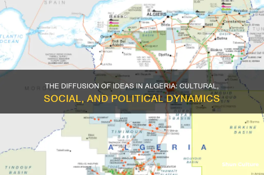 how are the spread of idees spred in algeria