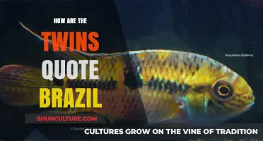 How the Twins Quote Brazil: A Cultural Journey in Their Words