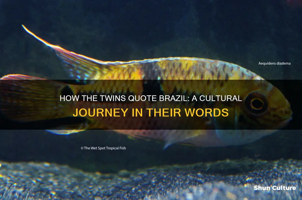 how are the twins quote brazil