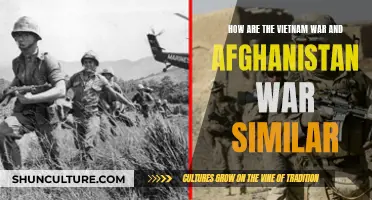 The Shadow of Vietnam: Afghanistan and the Echoes of a Divisive War