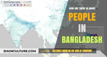 Bangladesh's Population Boom: Unraveling the Factors Behind Its Density