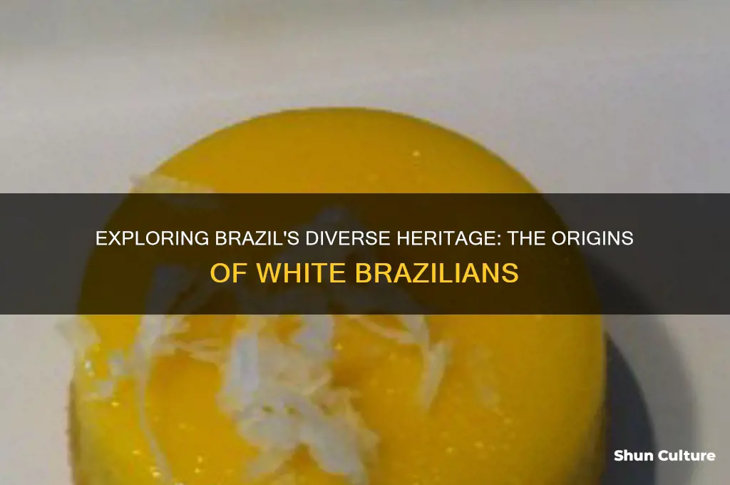 how are there white people in brazil