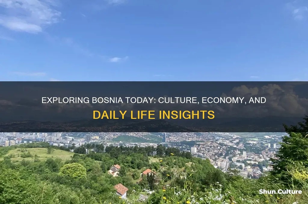 how are things in bosnia