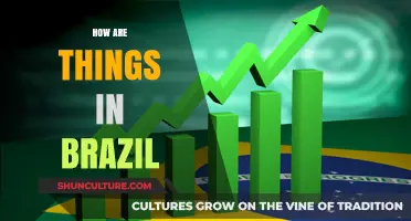 Exploring Brazil's Culture, Economy, and Daily Life Today