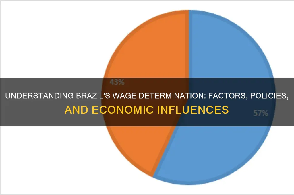 how are wages determined in brazil