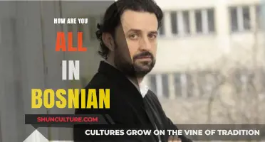 Kako Ste Svi: Mastering Bosnian Greetings and Cultural Connections