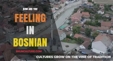 Kako se osjećate? Razumijevanje emocija na bosanskom jeziku