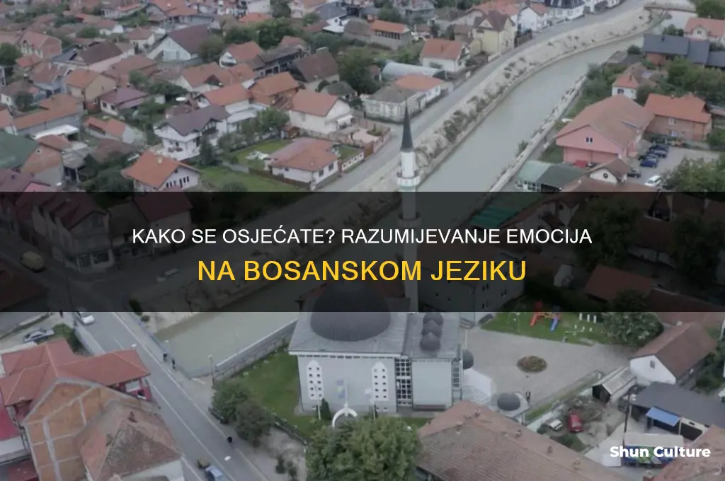 how are you feeling in bosnian