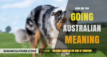 How Are You Going? Decoding the Unique Australian Greeting and Its Meaning