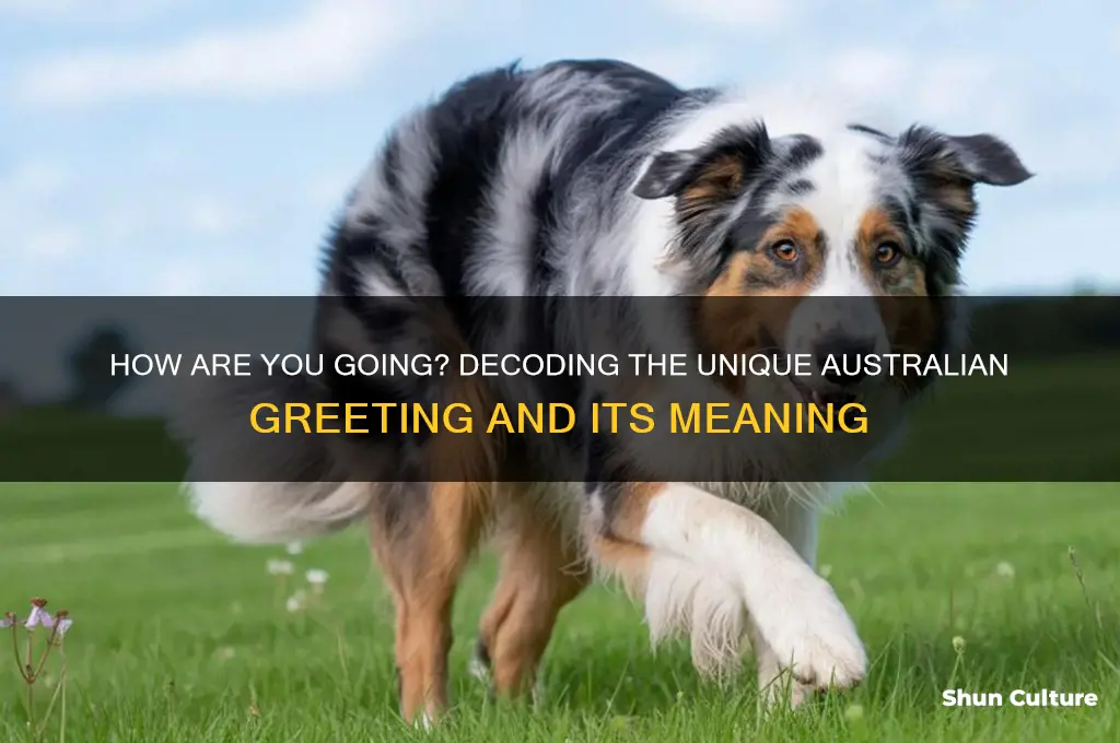 how are you going australian meaning