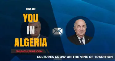 Exploring Algerian Greetings: How Are You in Algeria?