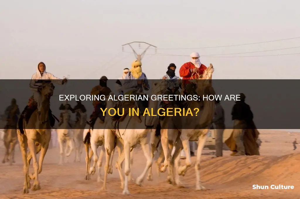 how are you in algeria