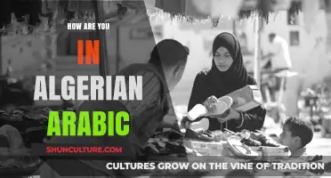 Mastering Algerian Arabic: How to Ask 'How Are You?' Like a Local