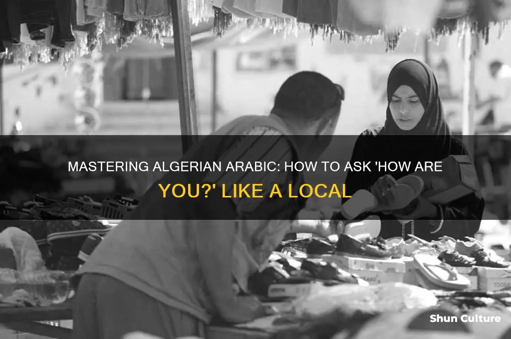 how are you in algerian arabic