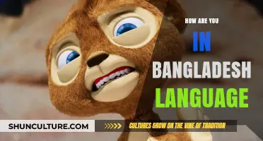 How to Ask 'How Are You?' in Bangladesh's Language: A Quick Guide