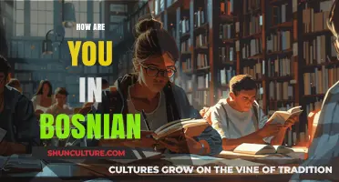 How to Ask 'How Are You?' in Bosnian: A Quick Language Guide
