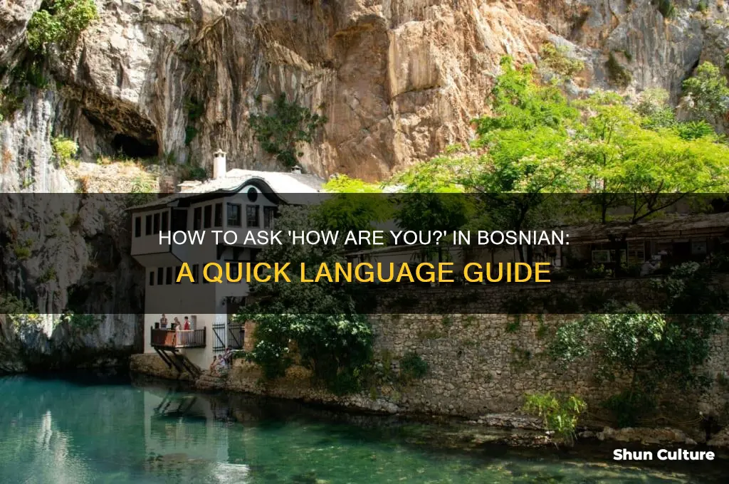 how are you in bosnian
