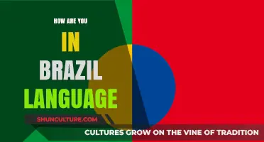 Como Você Está? Mastering Brazilian Portuguese Greetings and Phrases