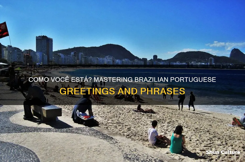 how are you in brazil language