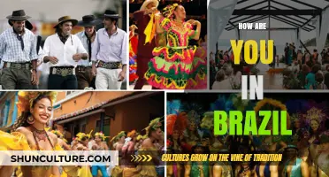 How Are You in Brazil? A Cultural Guide to Greetings and Connections