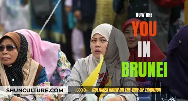 Exploring Brunei: A Personal Journey and Experience