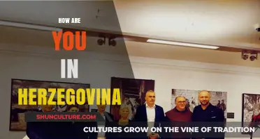 Exploring Herzegovina: Culture, Language, and Daily Life in the Heart of the Balkans