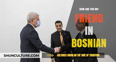 Kako si, prijatelju? Mastering Bosnian Greetings for Friendship and Connection