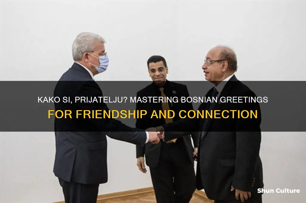 how are you my friend in bosnian