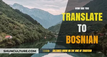 How to Say 'How Are You?' in Bosnian: A Quick Guide