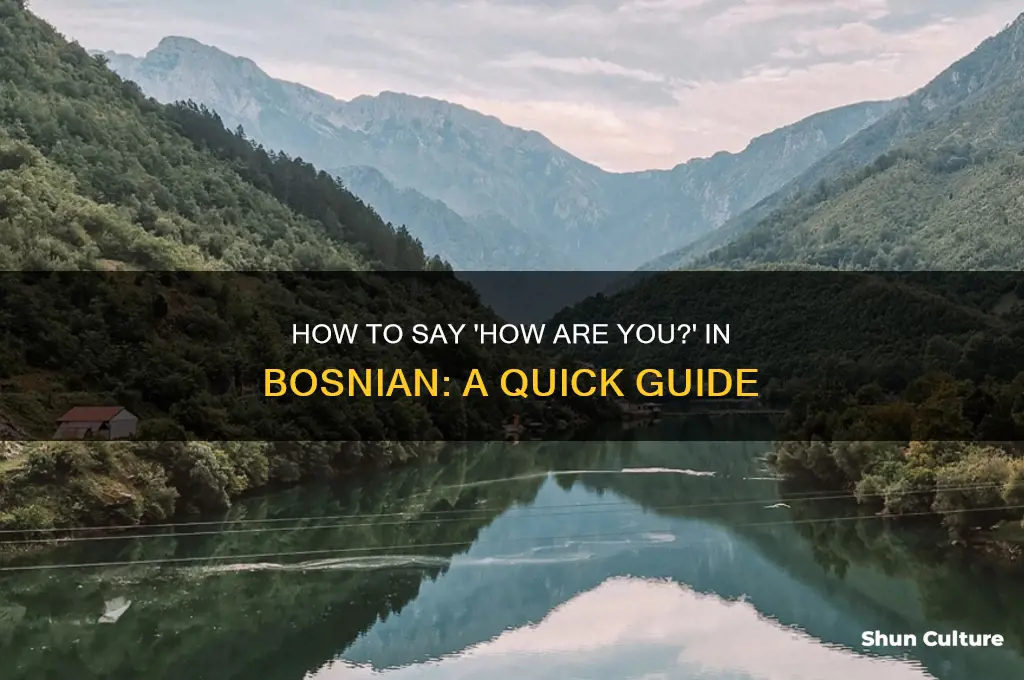 how are you translate to bosnian