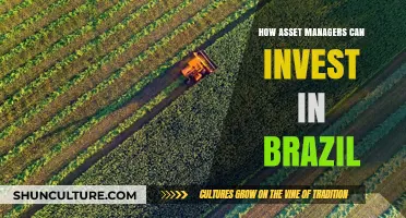 Unlocking Brazil's Potential: Strategic Investment Opportunities for Asset Managers
