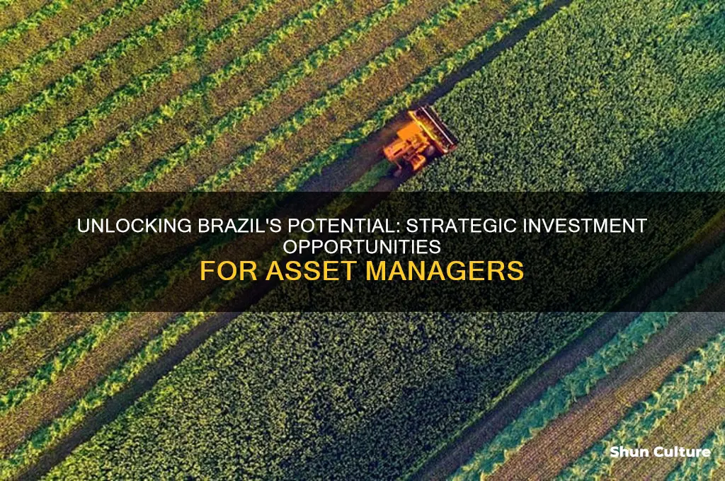 how asset managers can invest in brazil