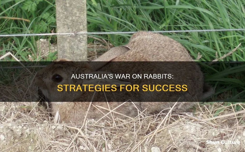 how australia reduced its rabbit population