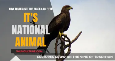 Austria's Black Eagle: A Symbol of Power and Nationhood