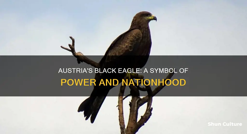 how austria got the black eagle for it